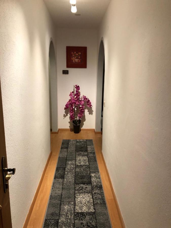 Apart Lechleitner 伊施格尔 外观 照片
